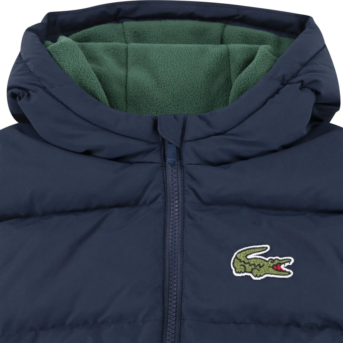 Lacoste - Recycled Fiber Logo Padded Jacket | Navy