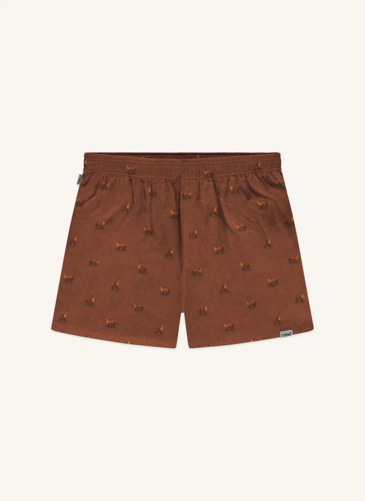 Pockies - Fox Boxer Shorts | Brown