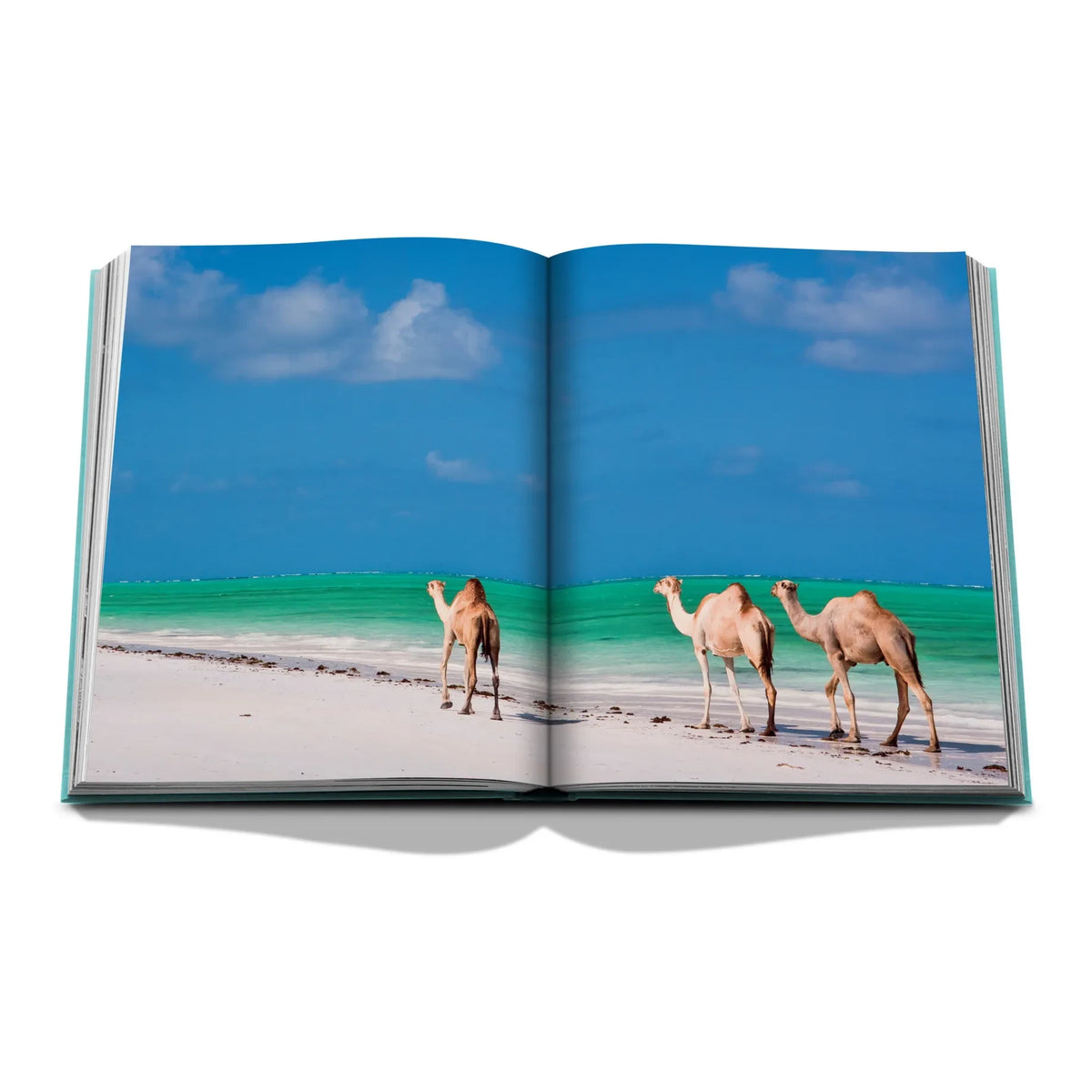 Assouline - Red Sea: Saudi Coast