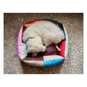 Hay - Dog Bed