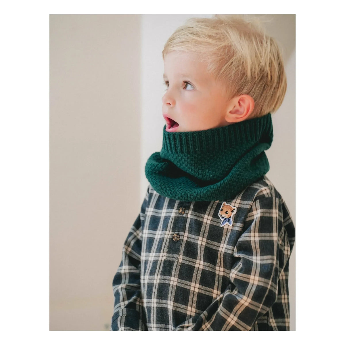 Loir - Stanislas Laine neck warmer | Green