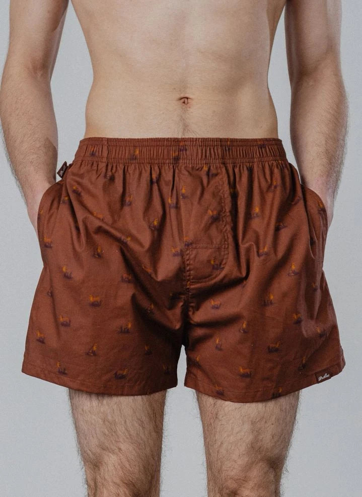 Pockies - Fox Boxer Shorts | Brown