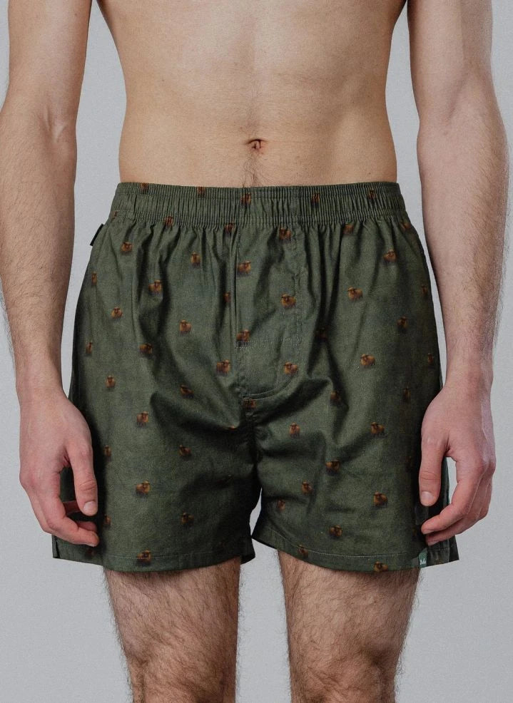 Pockies - Sheep Boxer Shorts | Green