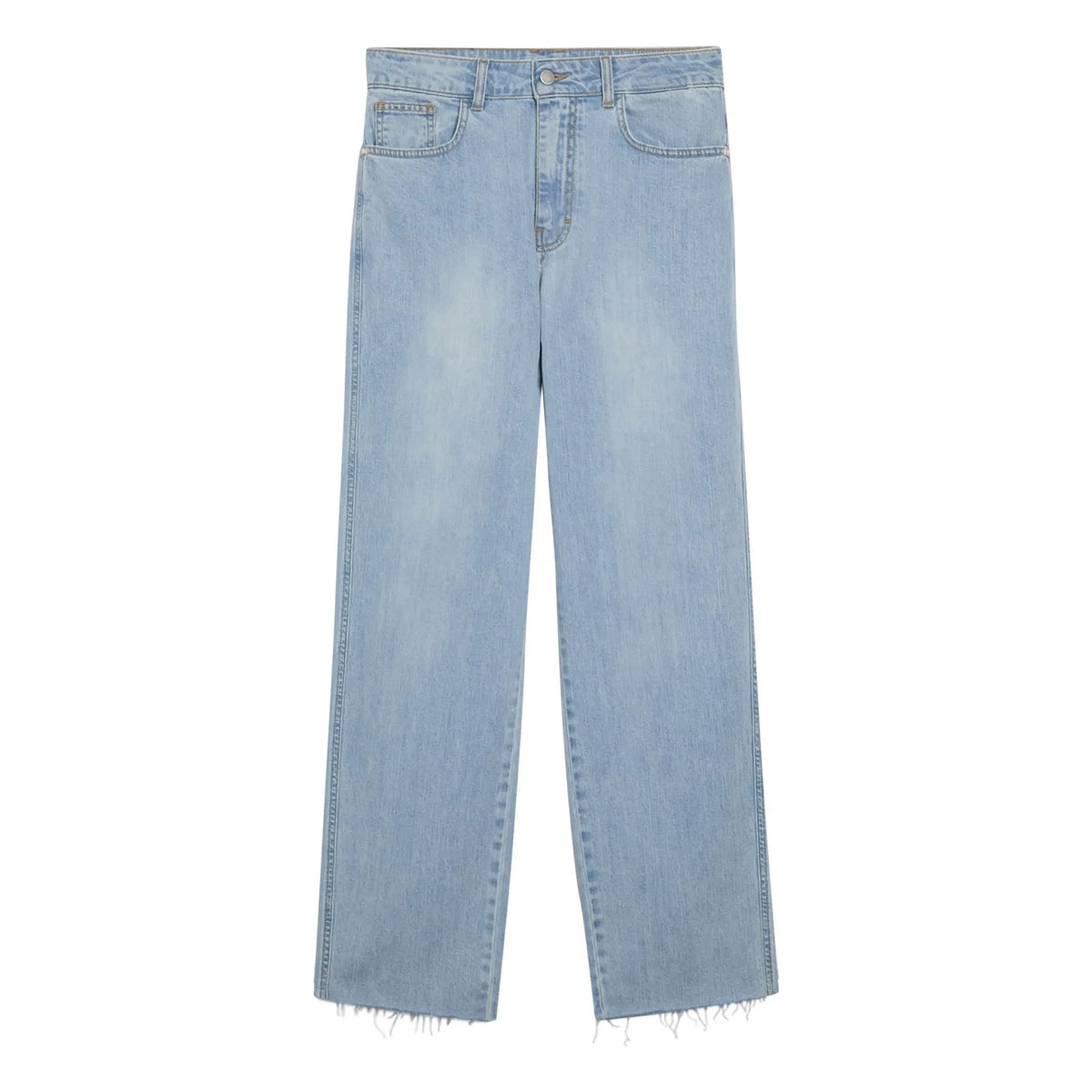 Momoni - Jean Nopal | Blue