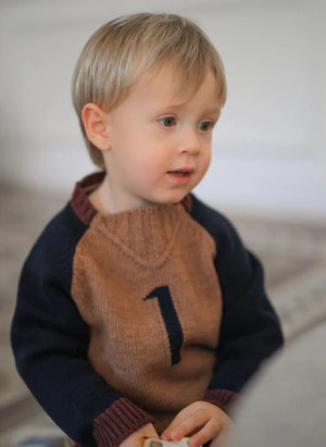 1+ in the family - Patrick Merino Wool Sweater | Brown