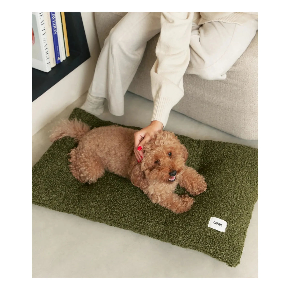 Cafide - Bela Dog Bed | Green