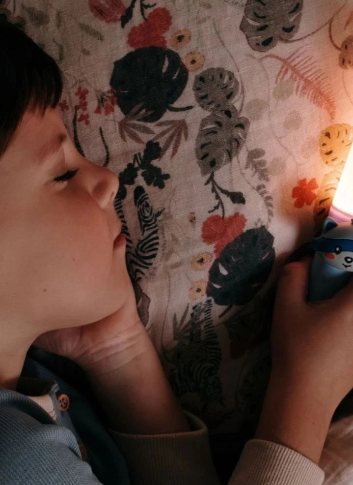 The Zoofamily - Zoo Light Handheld Flashlight - Raccoon