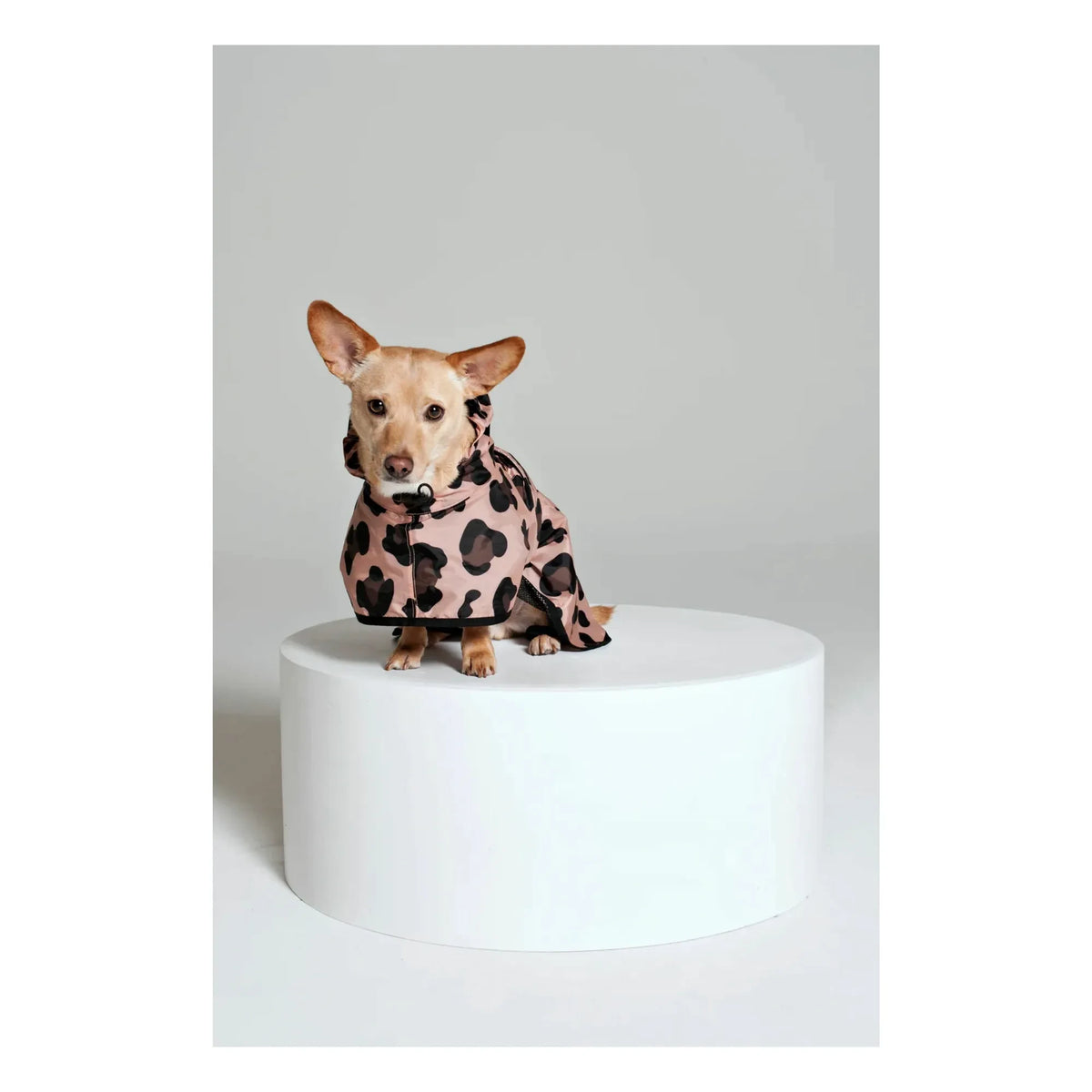 Rainkiss - Pink Panther Waterproof Dog Raincoat | Pink
