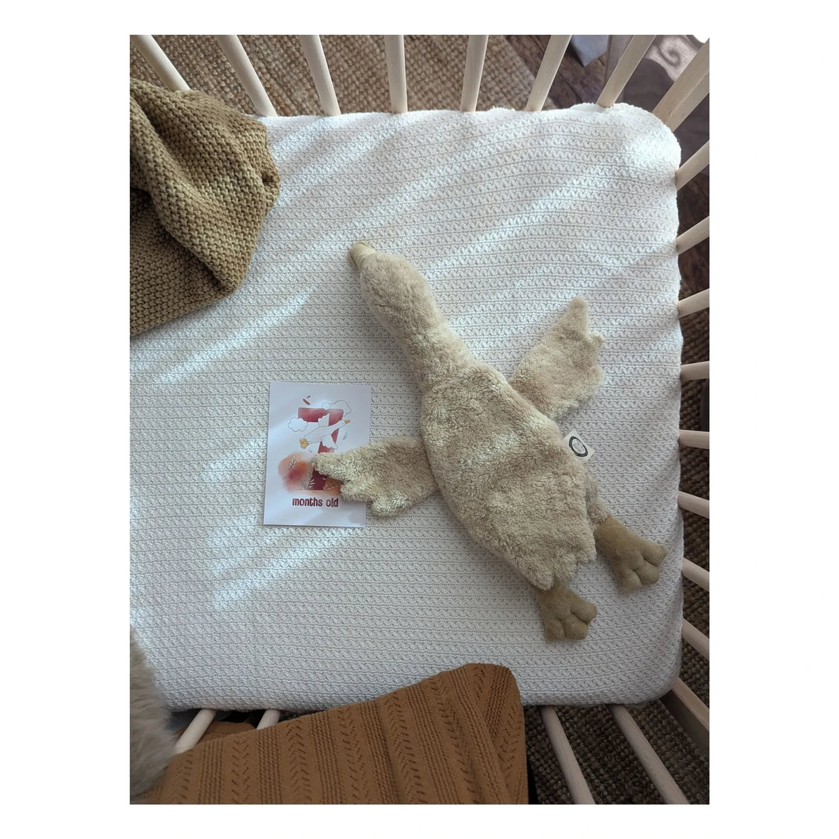 Senger Naturwelt - Goose Plush Hot Water Bottle | Beige
