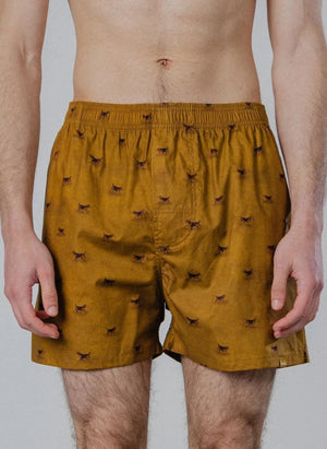 Pockies - Beagle Boxer | Mustard