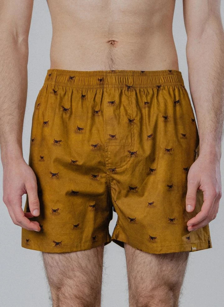 Pockies - Beagle Boxer | Mustard