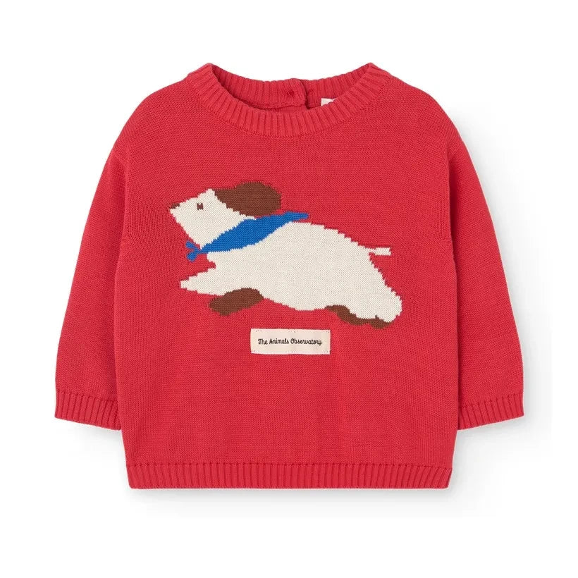 The Animals Observatory - Bobcat sweatshirt | Red