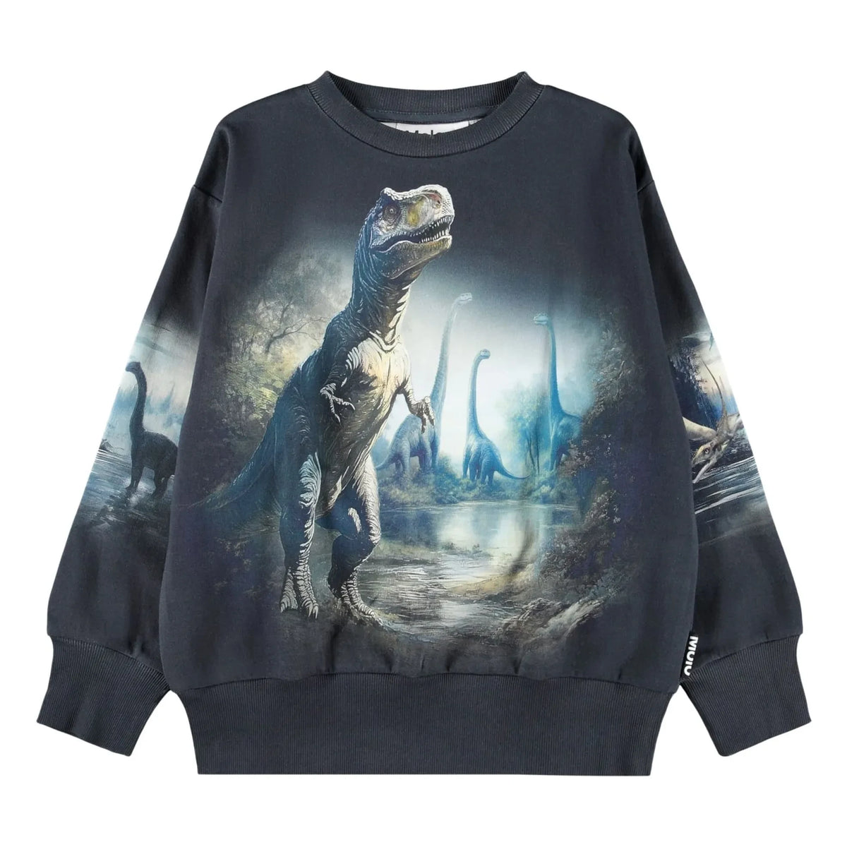 Molo - Mattis Dinosaurs Organic Cotton Sweatshirt | Black