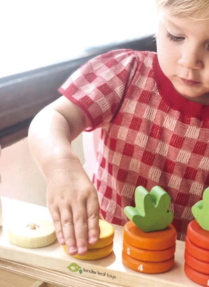 Tender Leaf Toys - Letter Counting Toy