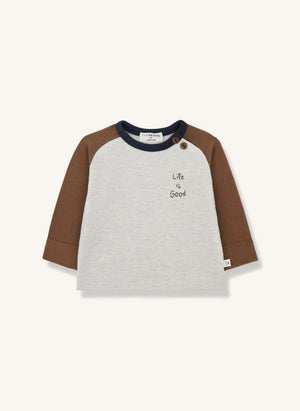 1+ in the family - Paul T-shirt | Brown