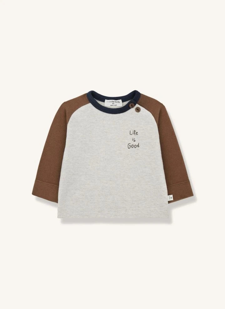1+ in the family - Paul T-shirt | Brown