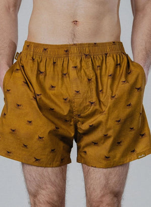 Pockies - Beagle Boxer | Mustard