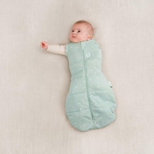 ergoPouch Cocoon Swaddle Bag - Sage - TOG 2.5-Sleepsack Swaddles-Sage-NB | Natural Baby Shower