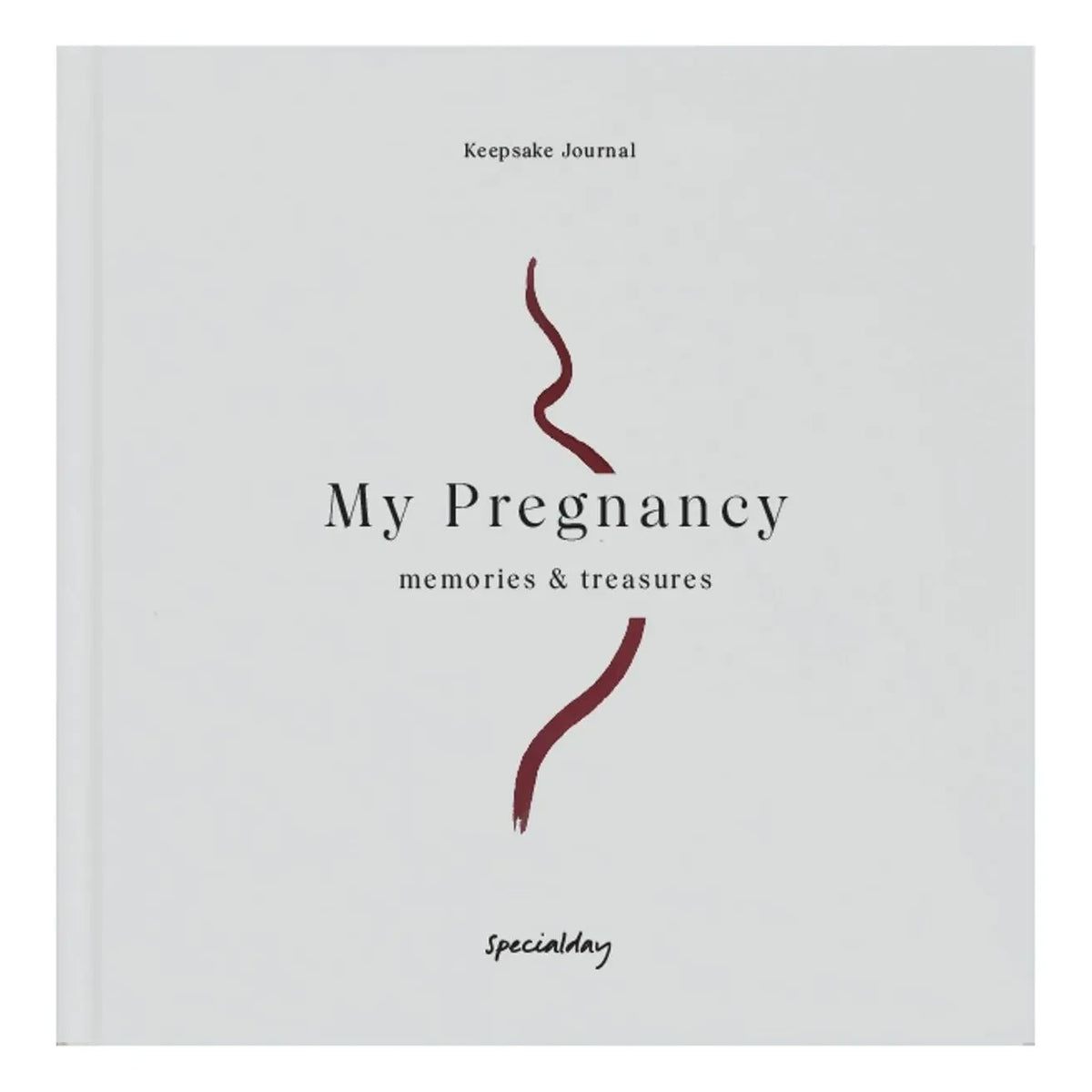 Specialday - My Pregnancy Diary - EN | Blue Gray