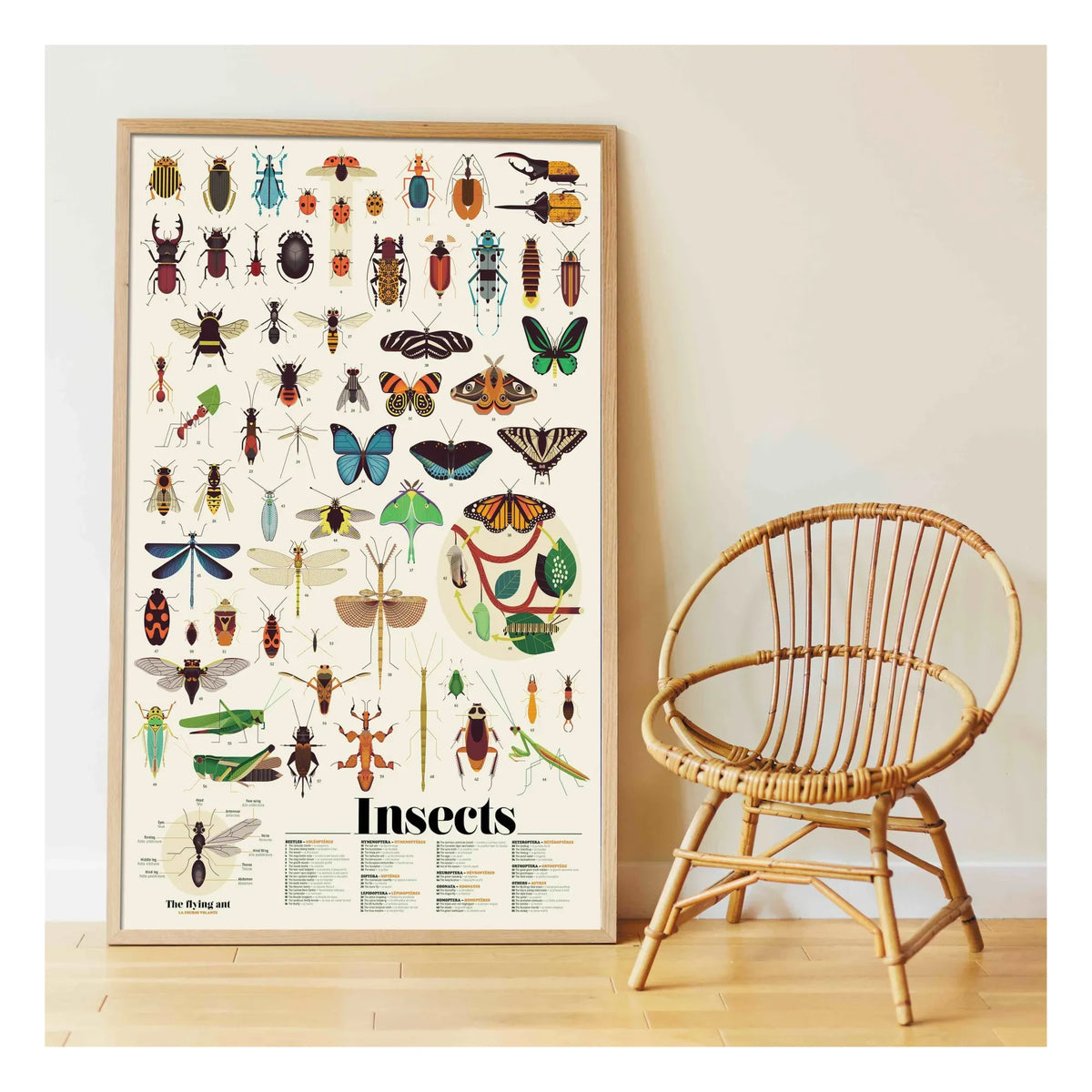Poppik - Insect Sticker Poster
