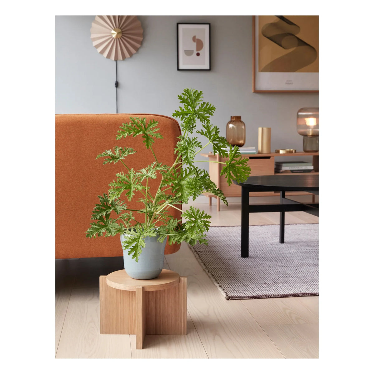 Hübsch - Plissé Wall Lamp | Sand