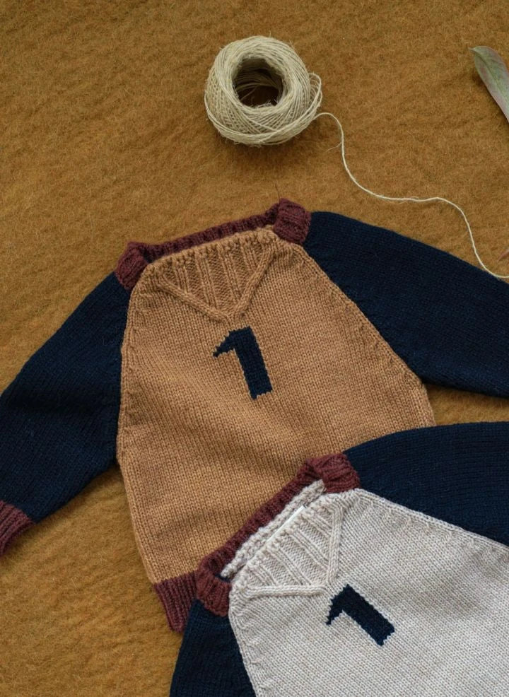 1+ in the family - Patrick Merino Wool Sweater | Brown