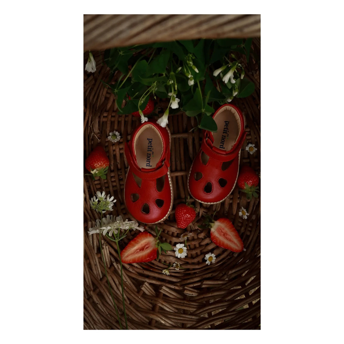 Petit Nord - T-Neck for Babies | Poppy