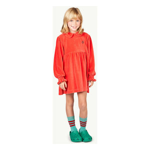 The Animals Observatory - Velvet Dress | Red
