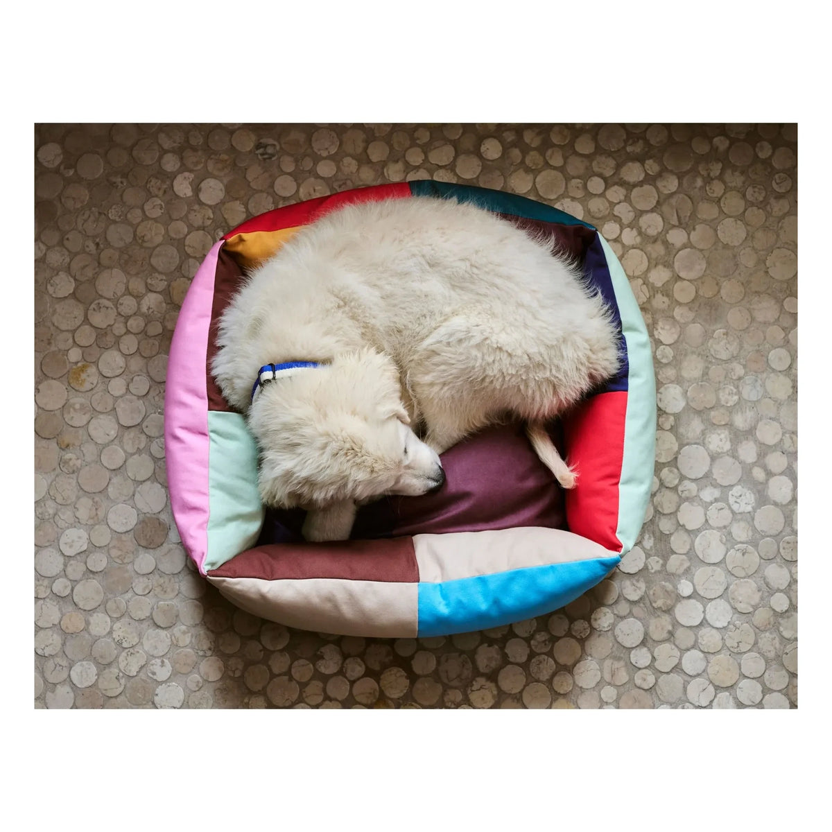 Hay - Dog Bed