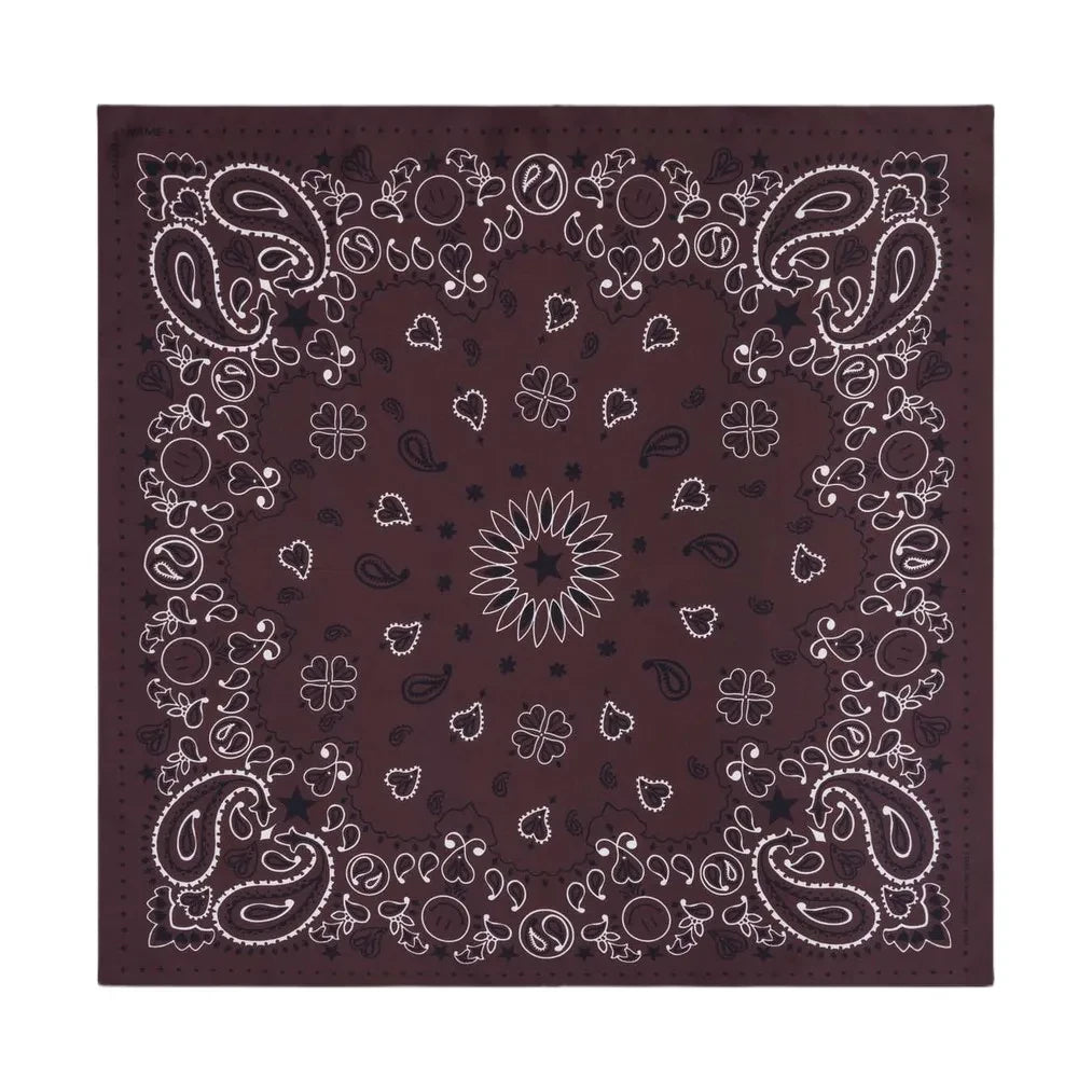 Call it by your name - Small Etoile Soie Bandana | Brown