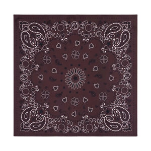 Call it by your name - Small Etoile Soie Bandana | Brown