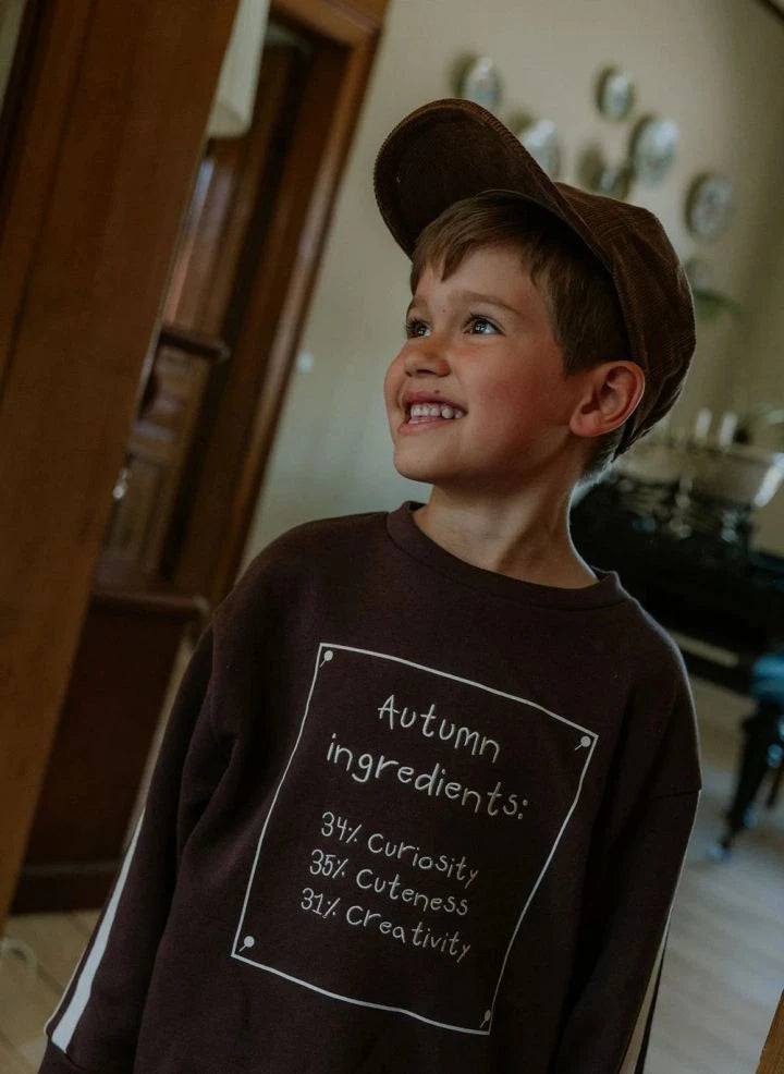 Fliink - Alvin Autumn Organic Cotton Sweatshirt | Brown