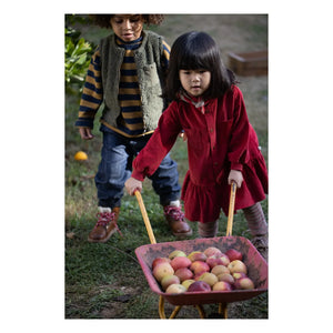 1+ in the family - Regina Corduroy Dress | Red