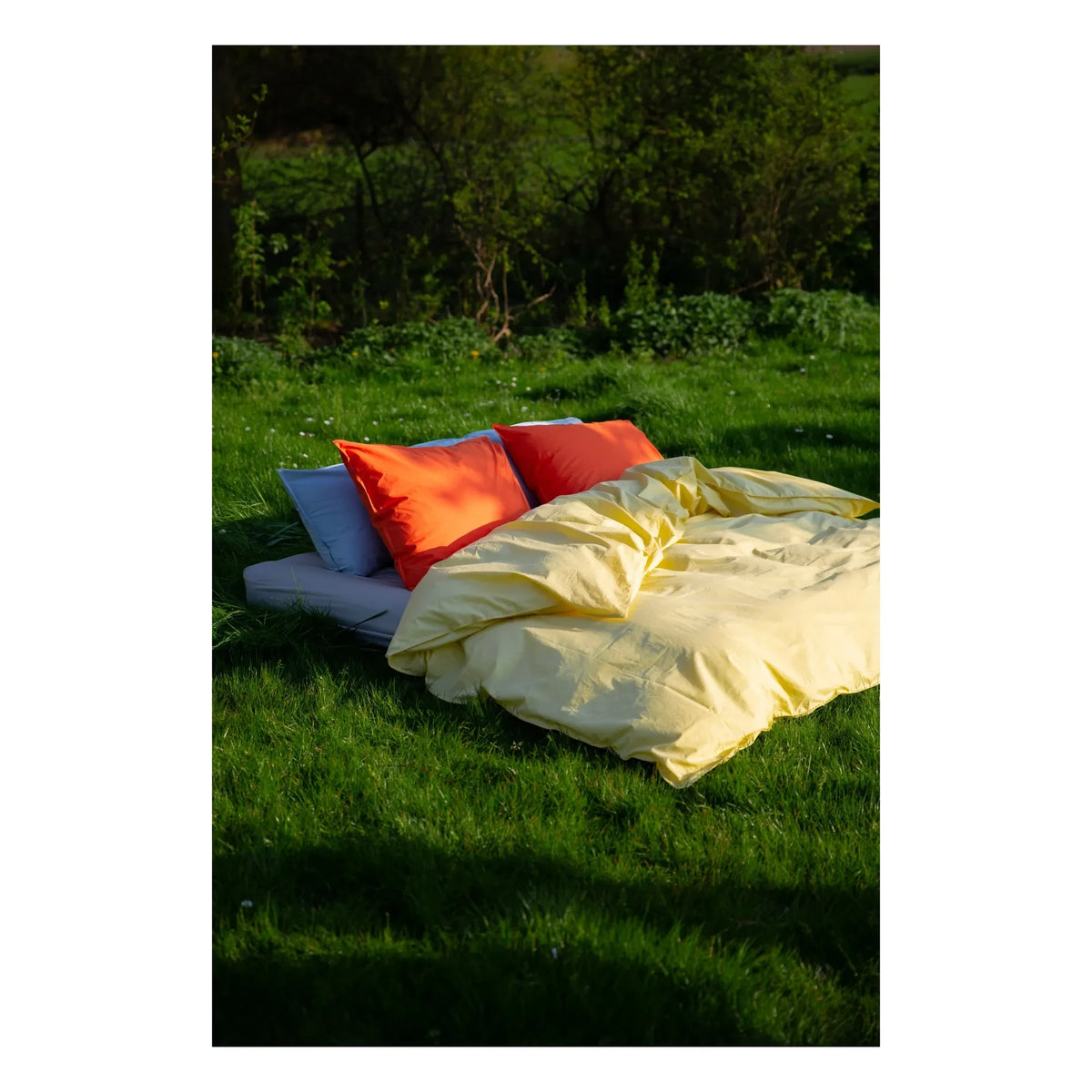 Suite 702 - Organic Percale Pillowcase - Poppy Orange | Orange