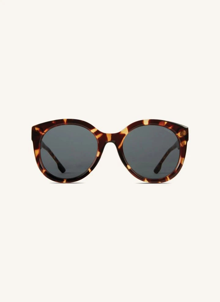 Komono - Allis Sunglasses - Adult Collection - | Brown