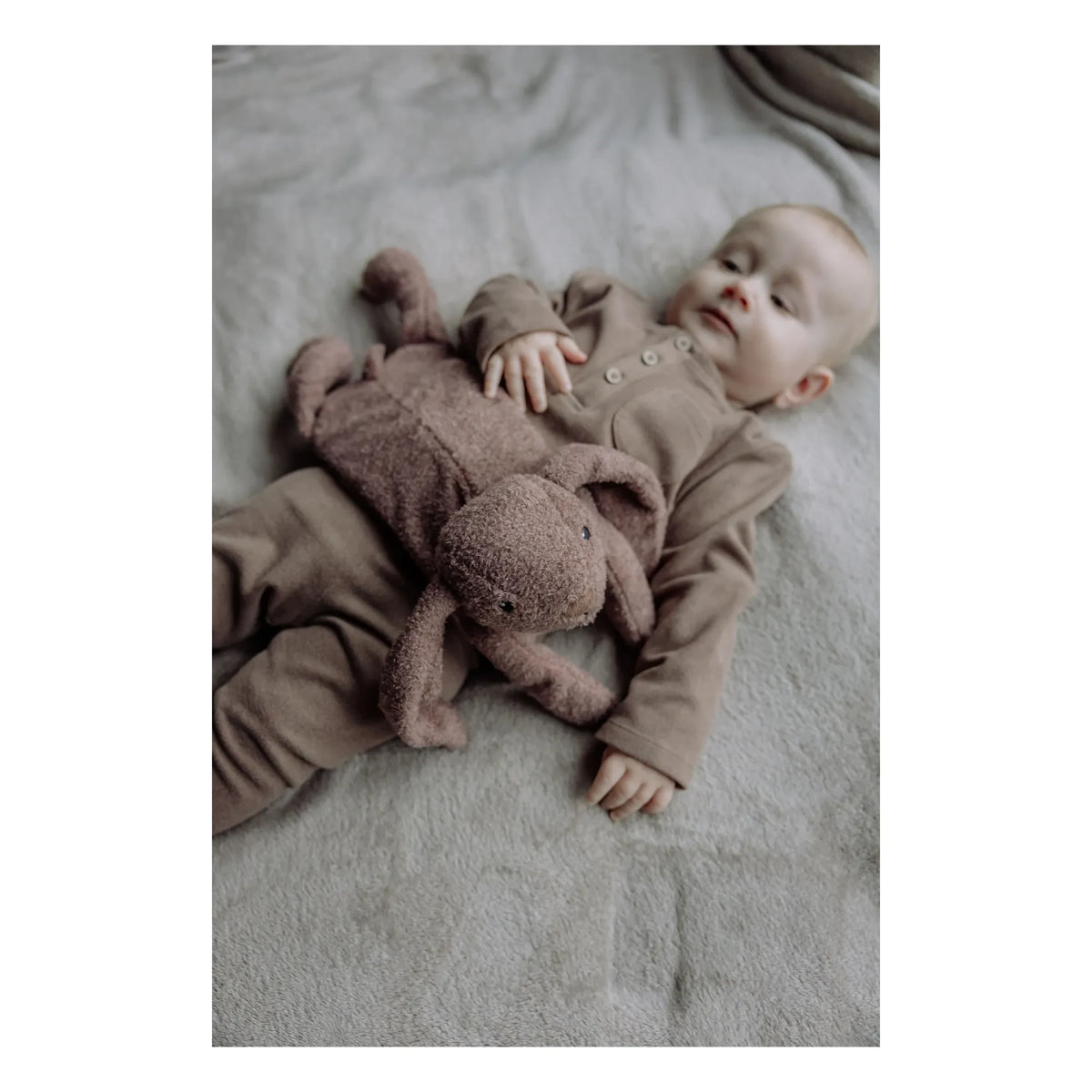 Flow - Milo plush toy | Chocolate