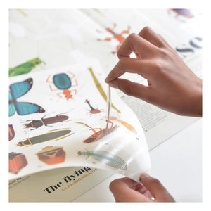 Poppik - Insect Sticker Poster