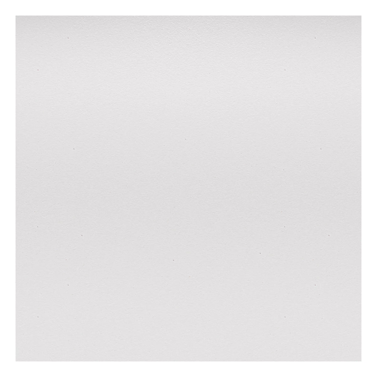 Vitra - DAW Chair - Beechwood Base - Charles & Ray Eames | White