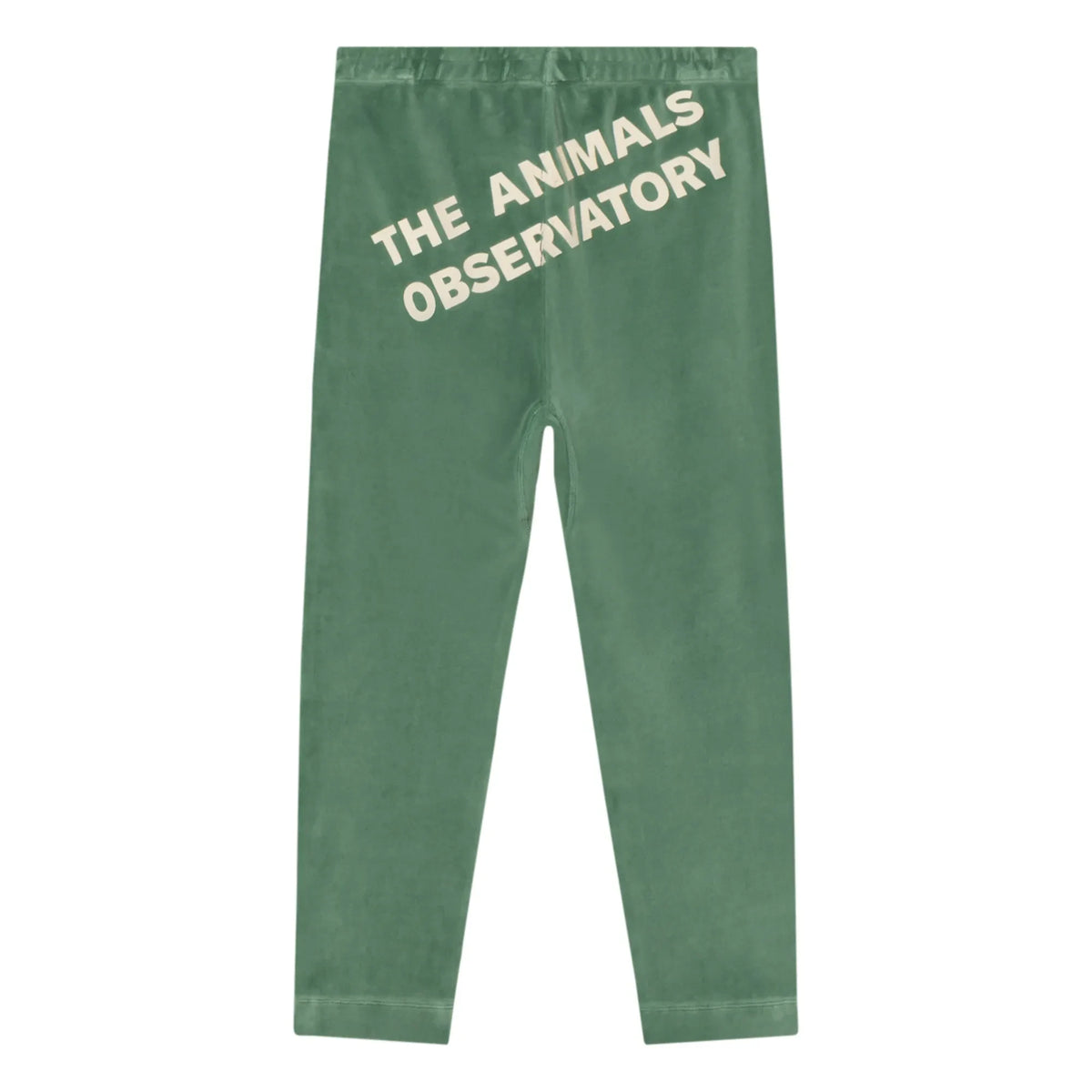 The Animals Observatory - Chameleon Velvet Tights | Green