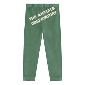 The Animals Observatory - Chameleon Velvet Tights | Green