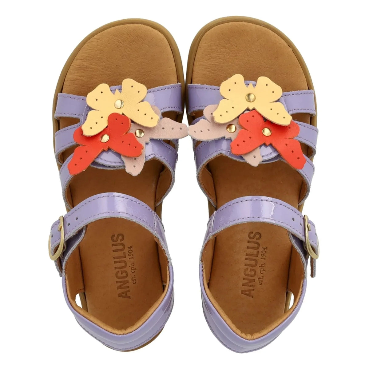 Angulus - Butterfly sandals | Lilac