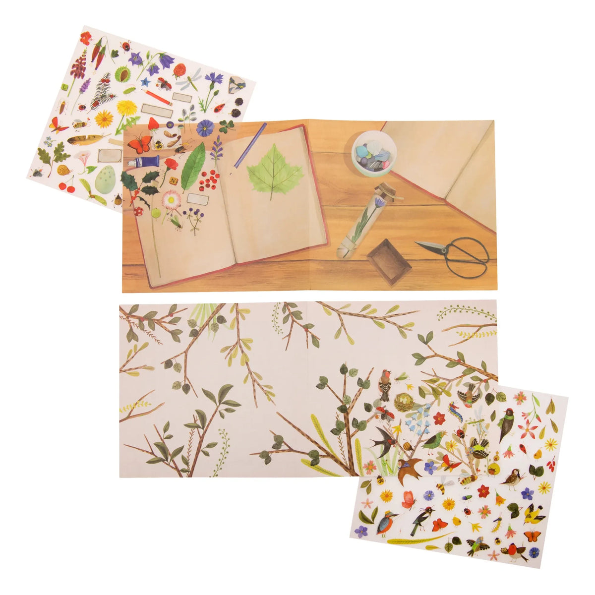 Moulin Roty - Botanical Friction Transfers