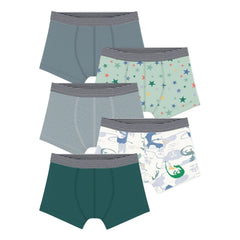 Petit Bateau - Set of 5 Organic Cotton Dragon Boxers | Green