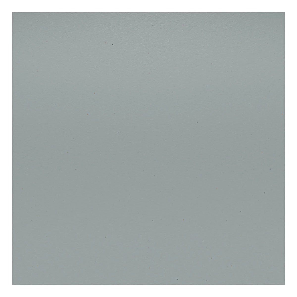 Vitra - DSR Plastic Chair - Chrome Frame - Charles & Ray Eames | Light Gray