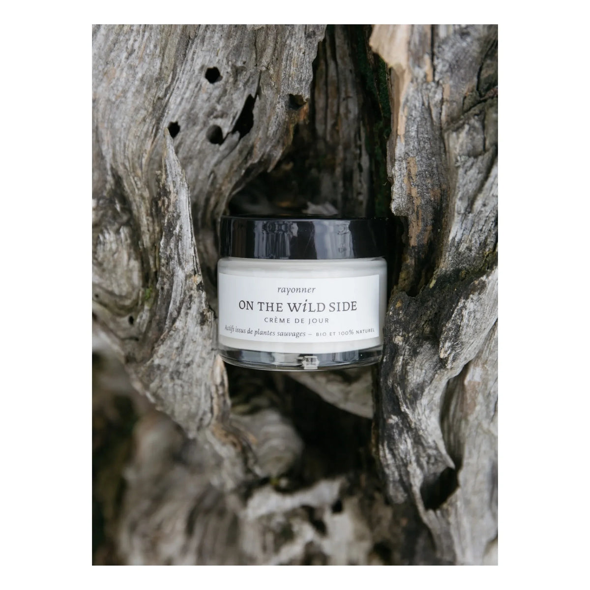 On The Wild Side - Daily Cream - 50 ml