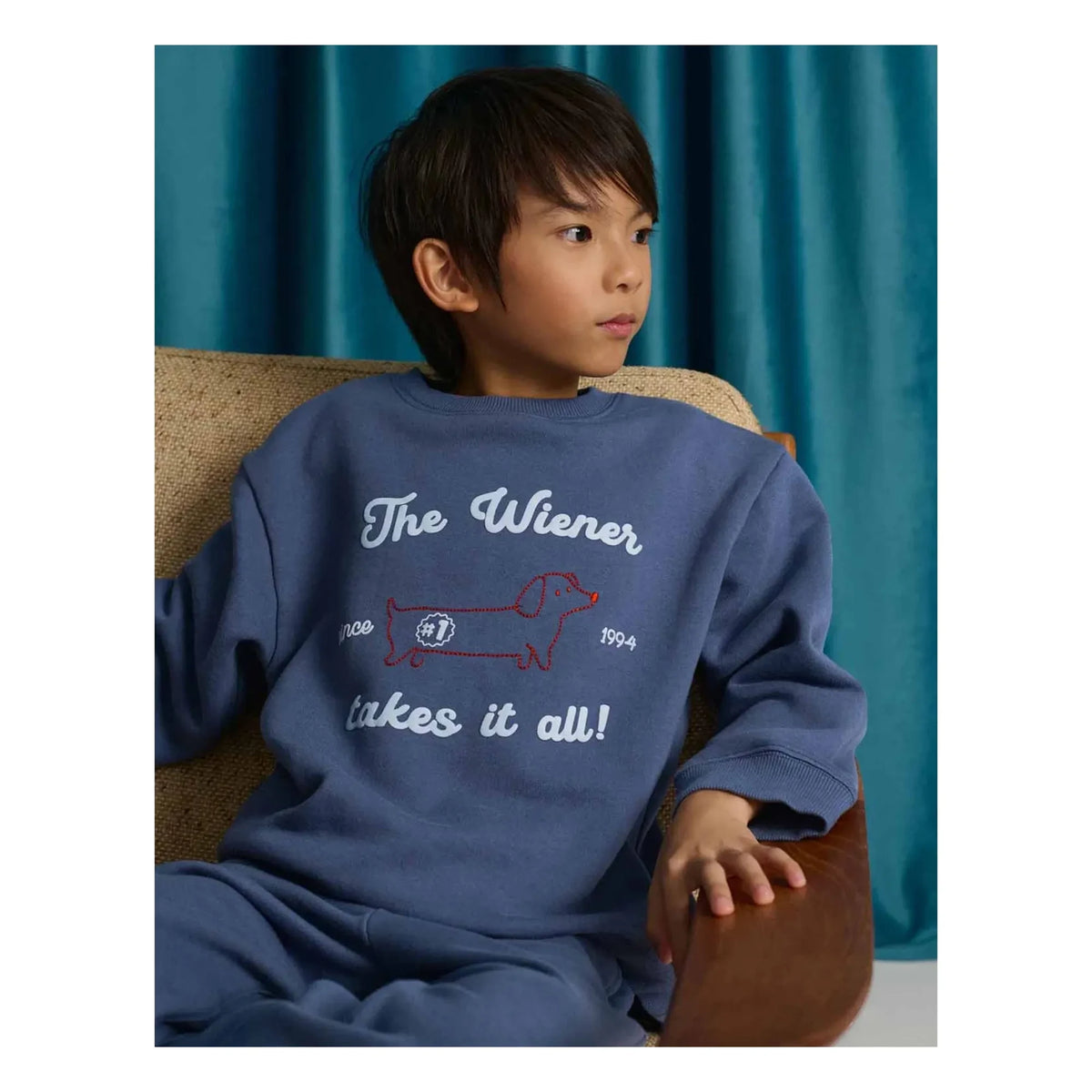 Gingersnaps - Riccardo Dog Sweater | Blue