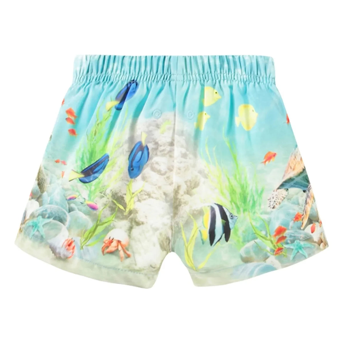 Molo - Newton Happy Ocean Swim Shorts Made from Recycled Fibers | Light Blue