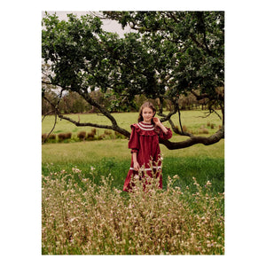 petite Amalie - Lace Ruffle Collar Dress | Cherry Red