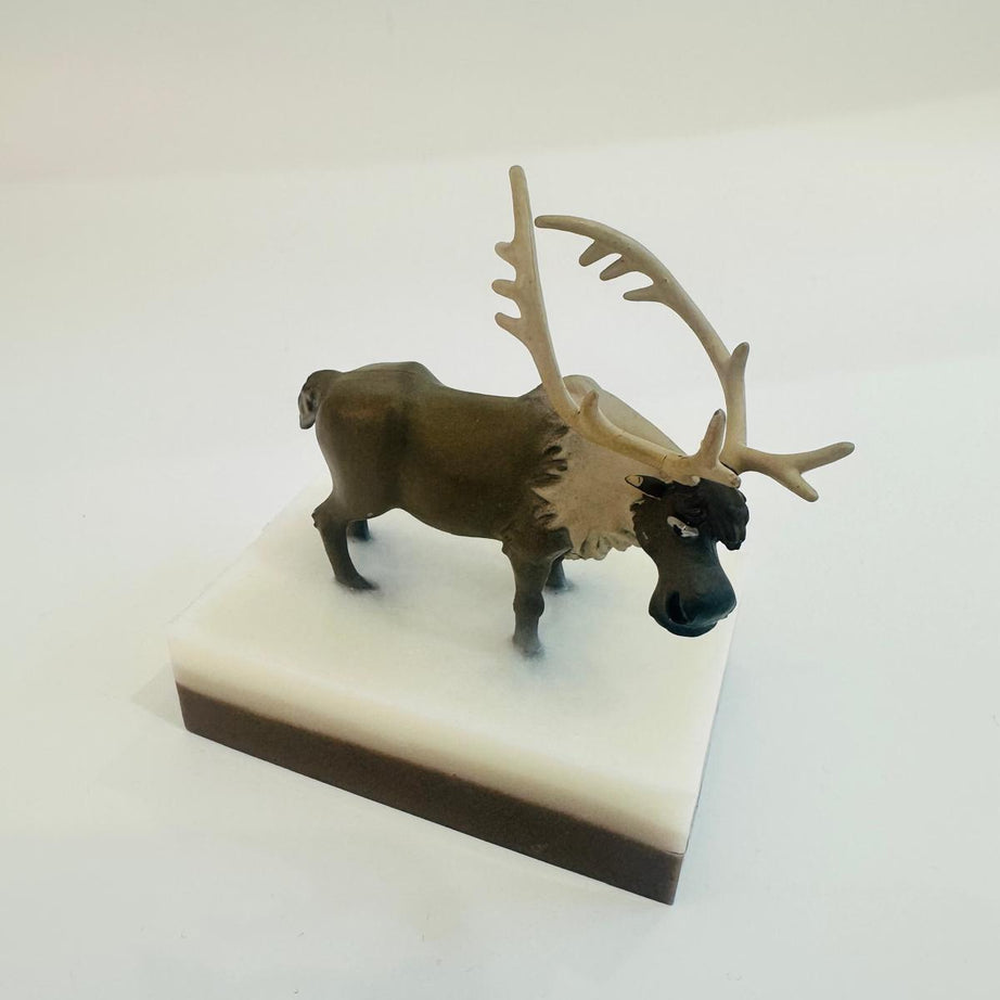 Baveal – Kids Forest Adventure Moisturizing Hand and Body Soap