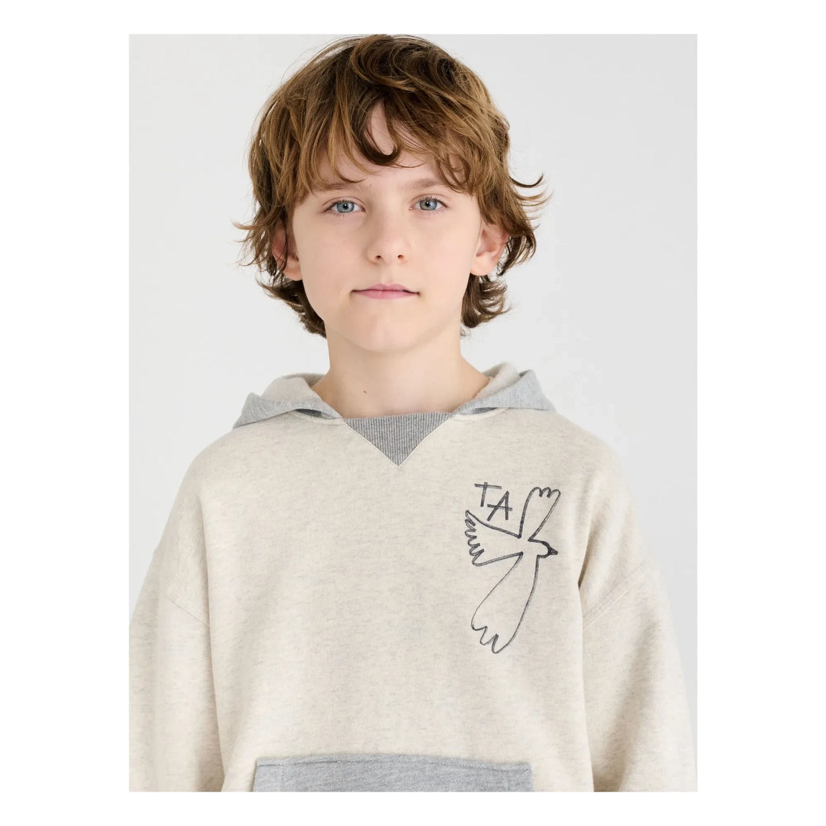 True Artist - Sweat N°16 | Grey Melange